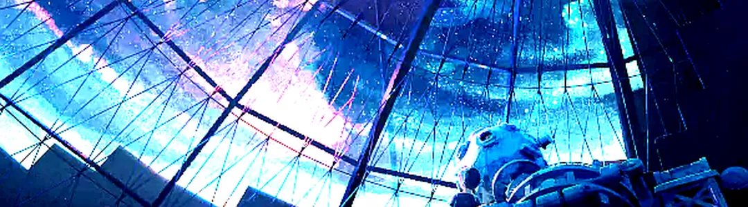 Anime Night