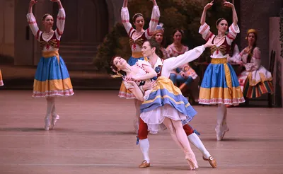 Coppelia