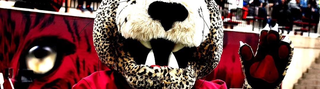 Lafayette Leopards Football