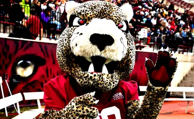Lafayette Leopards Football