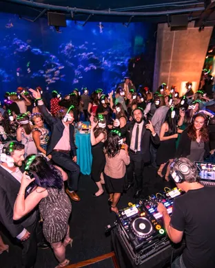 Silent Disco Norfolk