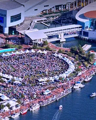 Spring Town Point Virginia Wine Festival