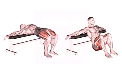 The Hip Abduction