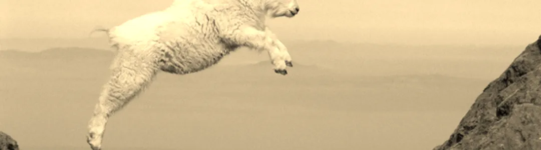 The Mountain Goats