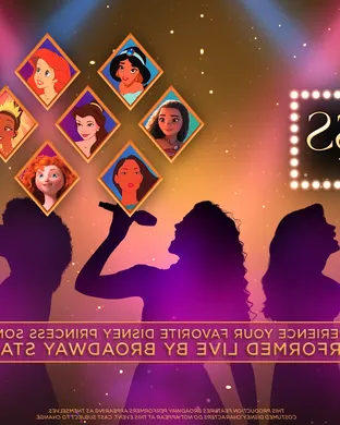 The Princess Concert Norfolk