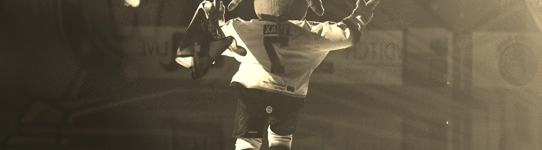 Worcester Railers