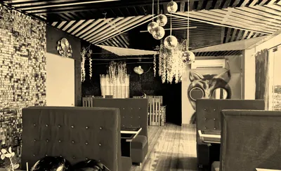 Zingara